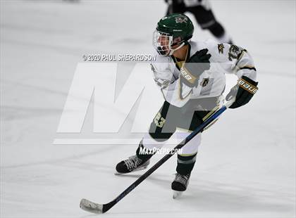 Thumbnail 3 in Mountain Vista Boys Hockey (Extending the Season) photogallery.
