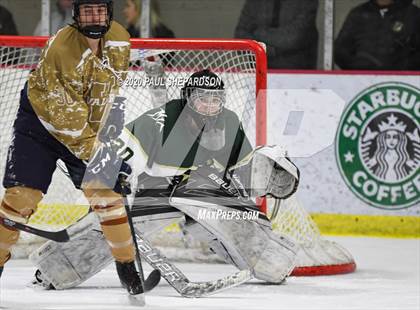 Thumbnail 3 in Mountain Vista Boys Hockey (Extending the Season) photogallery.