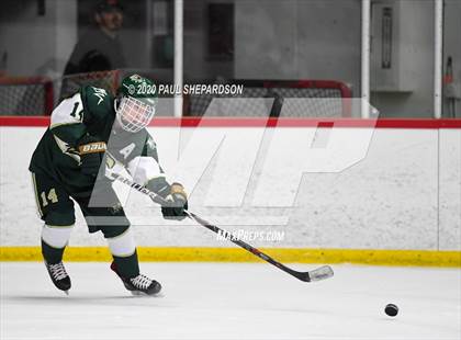 Thumbnail 1 in Mountain Vista Boys Hockey (Extending the Season) photogallery.