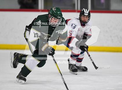 Thumbnail 2 in Mountain Vista Boys Hockey (Extending the Season) photogallery.