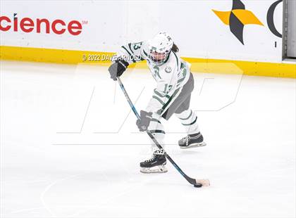 Thumbnail 3 in Canton vs Algonquin Regional/Hudson (MIAA Division 2 State Final) photogallery.
