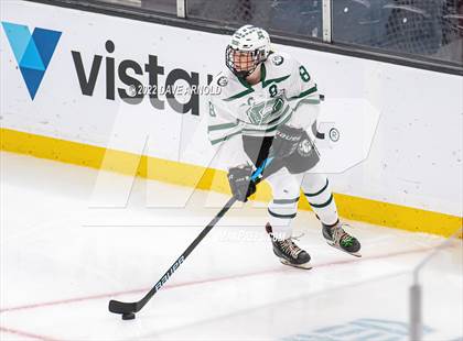 Thumbnail 2 in Canton vs Algonquin Regional/Hudson (MIAA Division 2 State Final) photogallery.