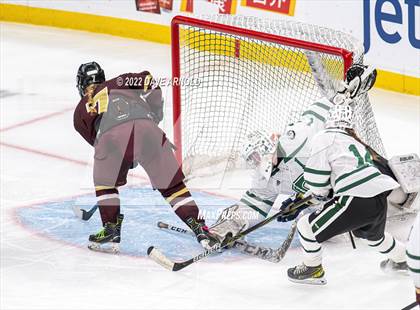 Thumbnail 1 in Canton vs Algonquin Regional/Hudson (MIAA Division 2 State Final) photogallery.