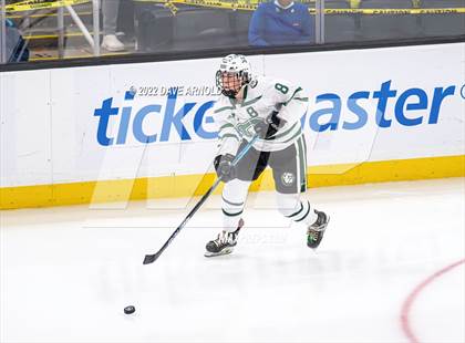 Thumbnail 1 in Canton vs Algonquin Regional/Hudson (MIAA Division 2 State Final) photogallery.