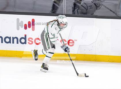 Thumbnail 2 in Canton vs Algonquin Regional/Hudson (MIAA Division 2 State Final) photogallery.