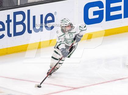 Thumbnail 2 in Canton vs Algonquin Regional/Hudson (MIAA Division 2 State Final) photogallery.
