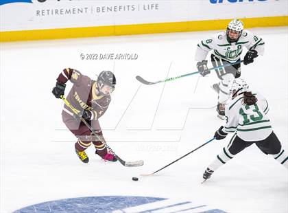 Thumbnail 1 in Canton vs Algonquin Regional/Hudson (MIAA Division 2 State Final) photogallery.
