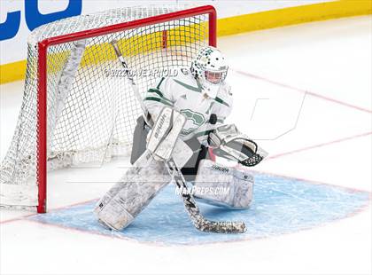 Thumbnail 1 in Canton vs Algonquin Regional/Hudson (MIAA Division 2 State Final) photogallery.