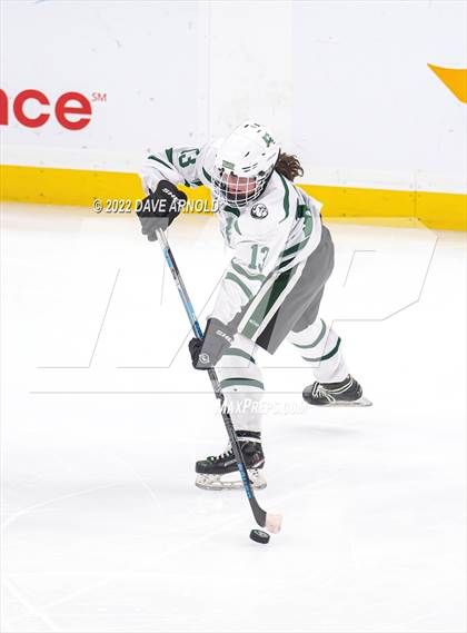 Thumbnail 1 in Canton vs Algonquin Regional/Hudson (MIAA Division 2 State Final) photogallery.