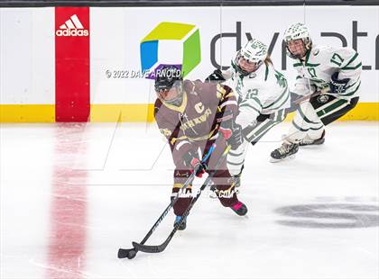 Thumbnail 2 in Canton vs Algonquin Regional/Hudson (MIAA Division 2 State Final) photogallery.