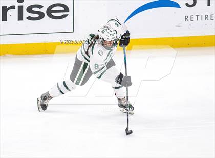 Thumbnail 2 in Canton vs Algonquin Regional/Hudson (MIAA Division 2 State Final) photogallery.