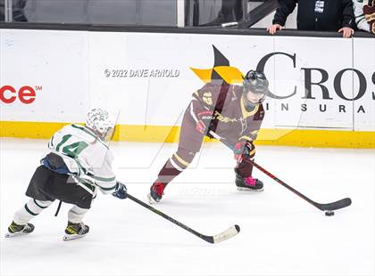 Thumbnail 3 in Canton vs Algonquin Regional/Hudson (MIAA Division 2 State Final) photogallery.