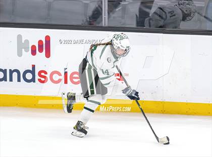 Thumbnail 3 in Canton vs Algonquin Regional/Hudson (MIAA Division 2 State Final) photogallery.