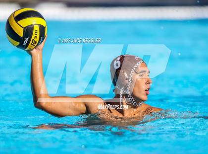Thumbnail 2 in Newbury Park @ Crespi photogallery.
