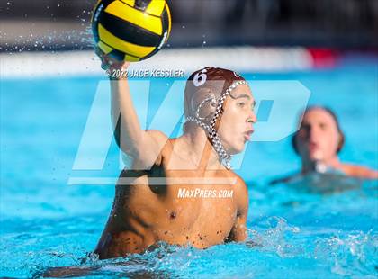 Thumbnail 3 in Newbury Park @ Crespi photogallery.