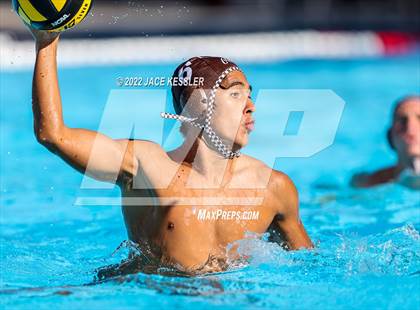Thumbnail 1 in Newbury Park @ Crespi photogallery.
