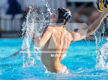 Thumbnail 1 in Newbury Park @ Crespi photogallery.