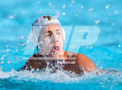 Thumbnail 2 in Newbury Park @ Crespi photogallery.