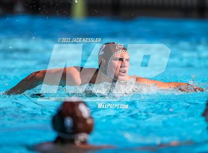 Thumbnail 2 in Newbury Park @ Crespi photogallery.