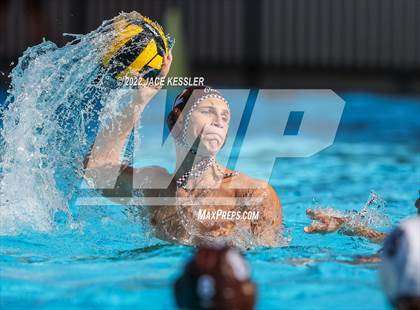 Thumbnail 1 in Newbury Park @ Crespi photogallery.