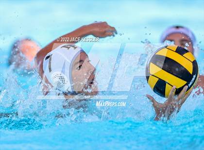 Thumbnail 1 in Newbury Park @ Crespi photogallery.