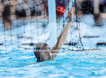 Thumbnail 1 in Newbury Park @ Crespi photogallery.