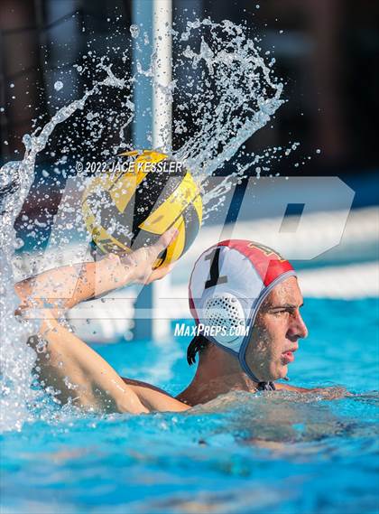 Thumbnail 2 in Newbury Park @ Crespi photogallery.