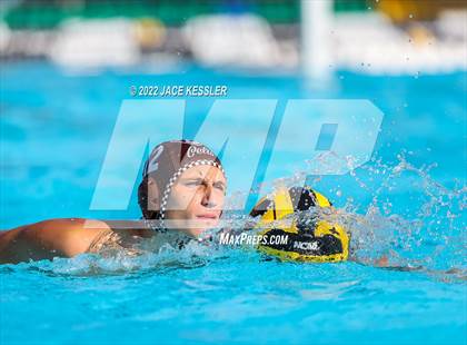 Thumbnail 2 in Newbury Park @ Crespi photogallery.