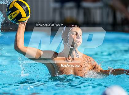 Thumbnail 1 in Newbury Park @ Crespi photogallery.