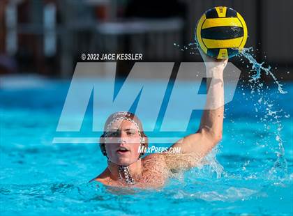 Thumbnail 1 in Newbury Park @ Crespi photogallery.