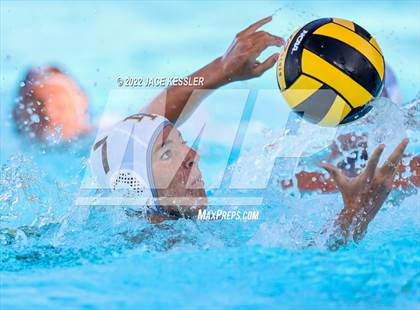 Thumbnail 2 in Newbury Park @ Crespi photogallery.