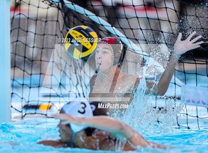 Thumbnail 2 in Newbury Park @ Crespi photogallery.