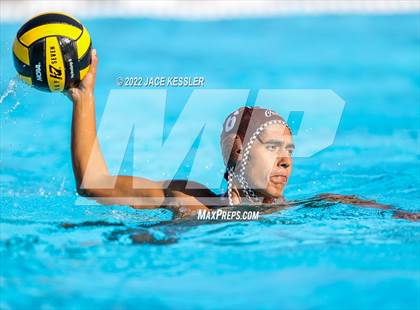Thumbnail 1 in Newbury Park @ Crespi photogallery.
