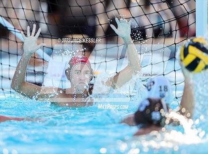 Thumbnail 3 in Newbury Park @ Crespi photogallery.