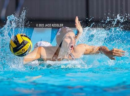 Thumbnail 3 in Newbury Park @ Crespi photogallery.