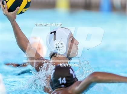 Thumbnail 3 in Newbury Park @ Crespi photogallery.