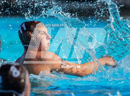 Thumbnail 1 in Newbury Park @ Crespi photogallery.