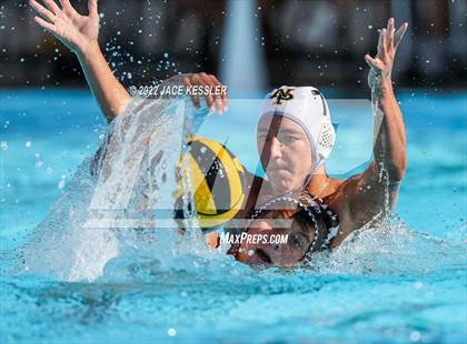 Thumbnail 3 in Newbury Park @ Crespi photogallery.