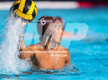Thumbnail 2 in Newbury Park @ Crespi photogallery.