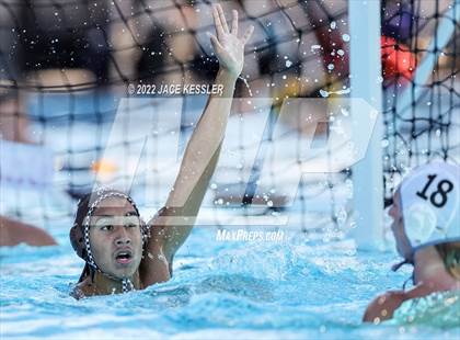 Thumbnail 3 in Newbury Park @ Crespi photogallery.