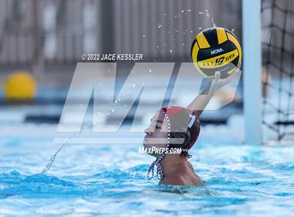 Thumbnail 1 in Newbury Park @ Crespi photogallery.