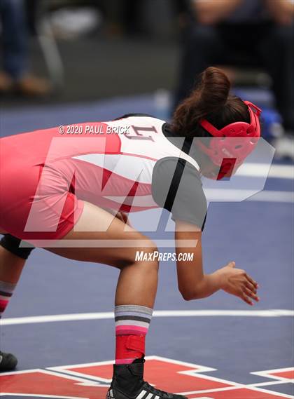 Thumbnail 3 in UIL Girls 6A Regional Wrestling Tournament  photogallery.