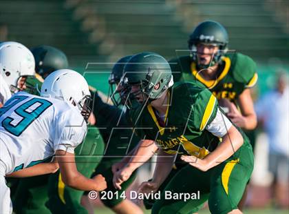 Thumbnail 3 in Sheldon @ Placer photogallery.
