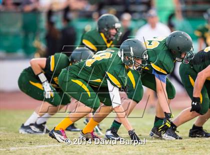 Thumbnail 2 in Sheldon @ Placer photogallery.