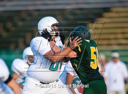 Thumbnail 1 in Sheldon @ Placer photogallery.