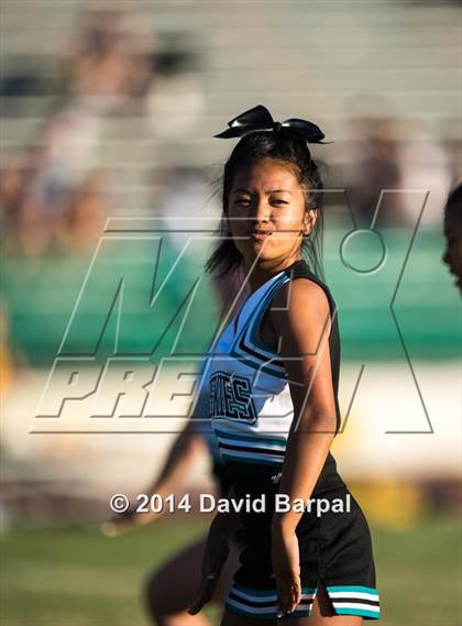Thumbnail 1 in Sheldon @ Placer photogallery.