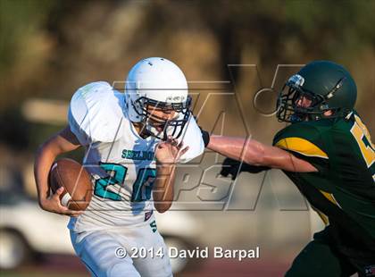 Thumbnail 2 in Sheldon @ Placer photogallery.