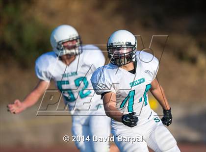 Thumbnail 3 in Sheldon @ Placer photogallery.