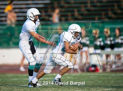 Thumbnail 1 in Sheldon @ Placer photogallery.
