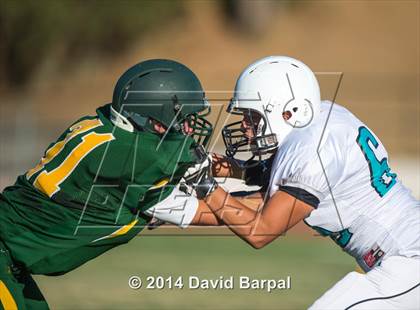 Thumbnail 3 in Sheldon @ Placer photogallery.